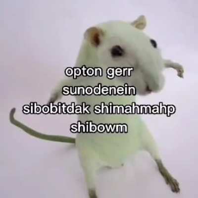 wacky mouse