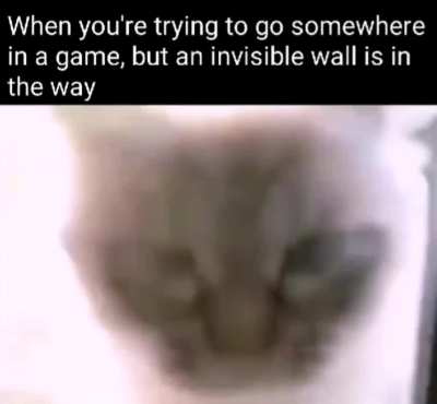 What? Stupid wall