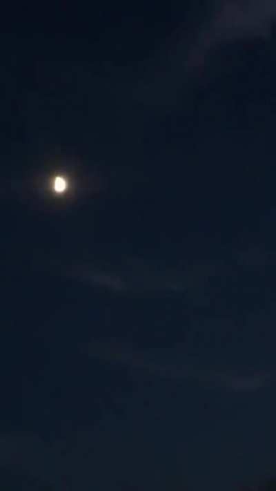Rowan at Night