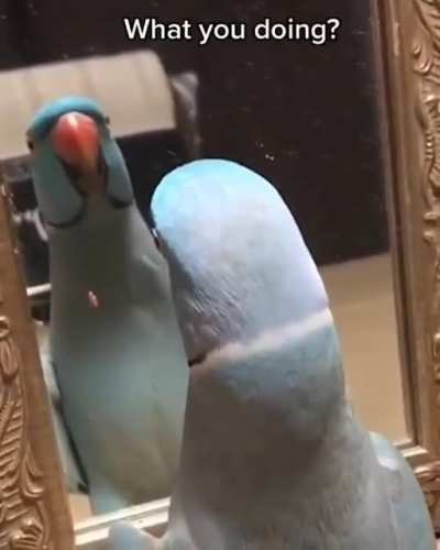 Self image.