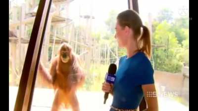 Sussy monke