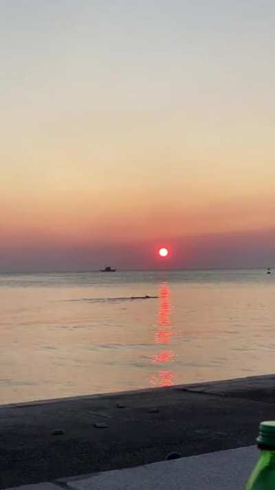 Relax