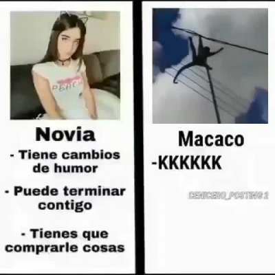 Macaaaaco