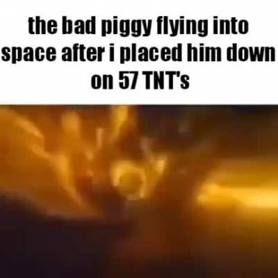 Birb