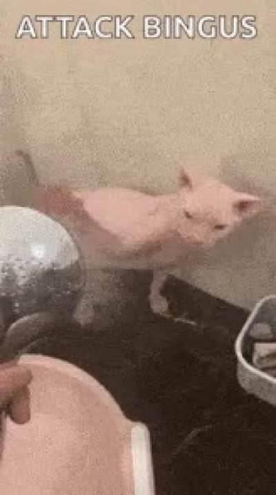 Attack 