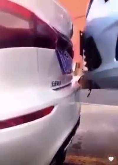 Professional driver