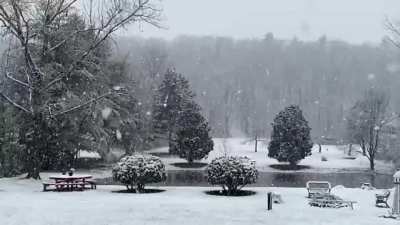 View of my dad’s backyard in Mass today