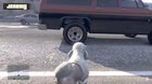 ”See ya later!”