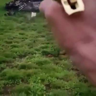 A Desert Eagle's 