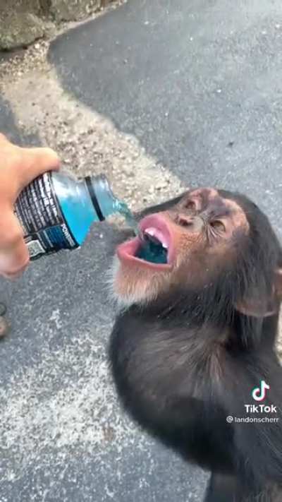 Monke thirsty