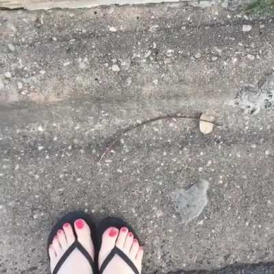 Just walking to the mailbox, but I was having a good leg/foot day. DMs open if you want to say hi!