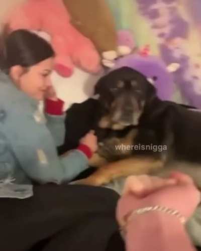 Treats
