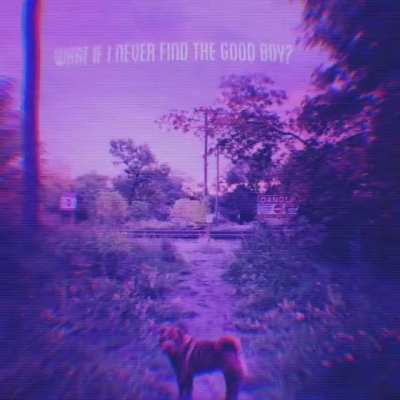 Find the good boye