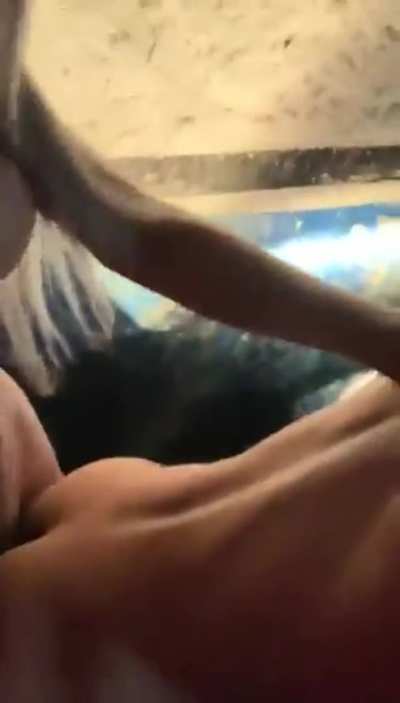 That lucky Bastard