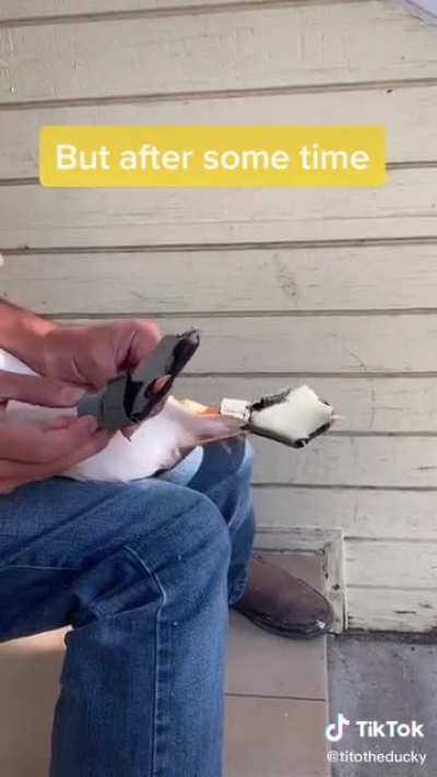 Tito’s first time wearing shoes
