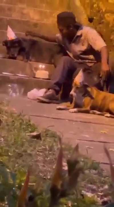 Fofo