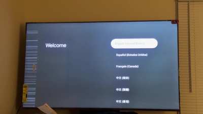 Weird barcode-like and other glitches on brand-new TCL QM7?