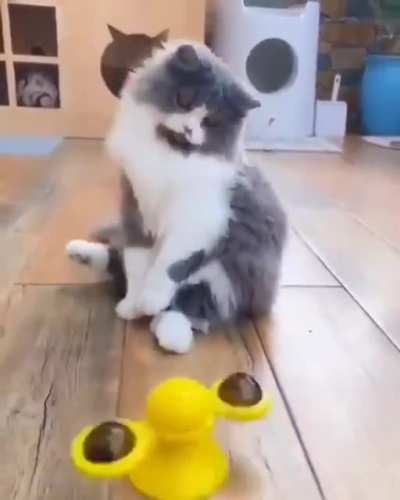 I can do it...