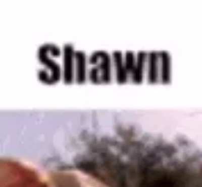 The