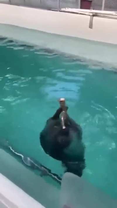 Maybe Maybe maybe