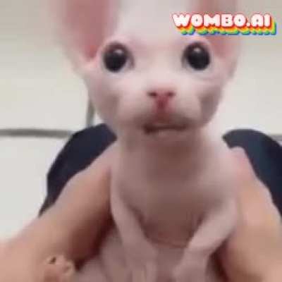 GAMER BUNGUS