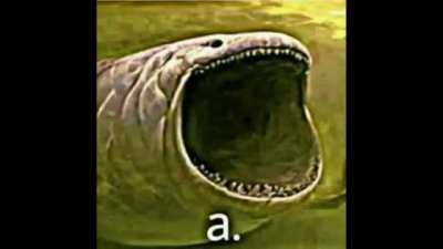 A.