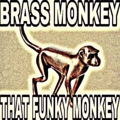 mokey