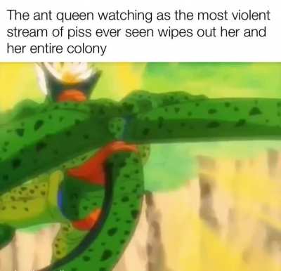 No dragon balls are fixing that.