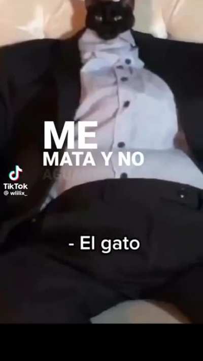 ð