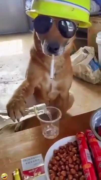 Grande chefão 