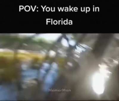 POV: You wake up in Florida.
