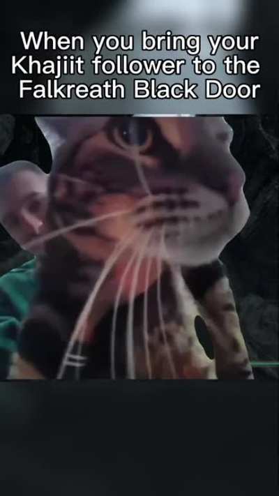 Meme