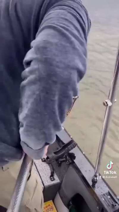 These fishermen scooping up a struggling fawn in a fishing net and driving it back to shore to reunite it with its mother