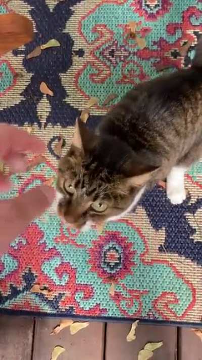 He's starving!