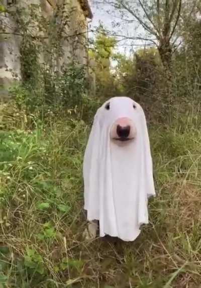 Alo