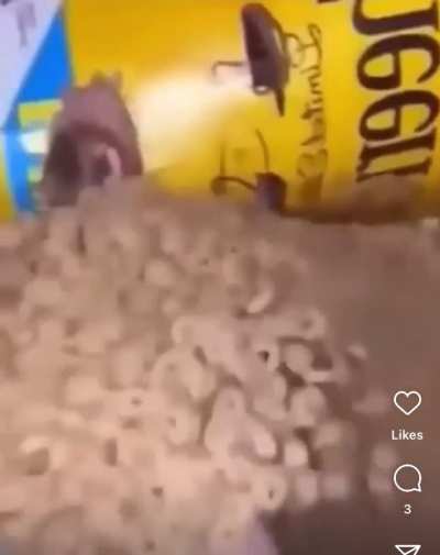 Idk what to say