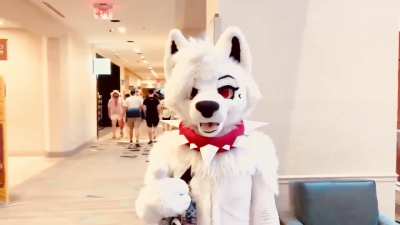 Furry_irl