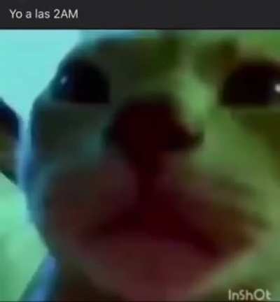 ._.