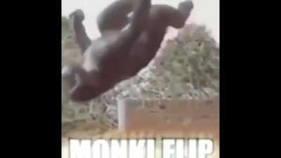 OH NO!