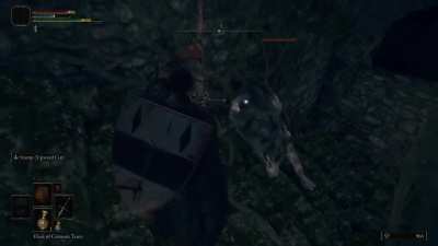 This is what over 1000 hours of Fromsoft experience looks like