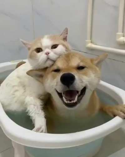 Friendship
