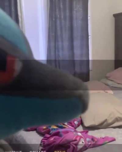 Nose👃irl