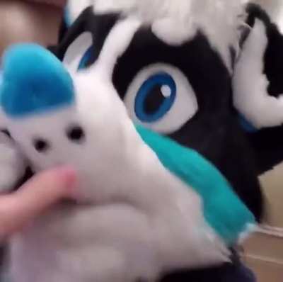 Dog_irl