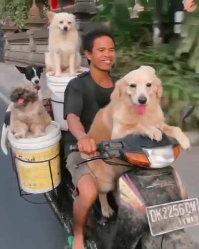 Cruising through Bali with the squad 🐶
