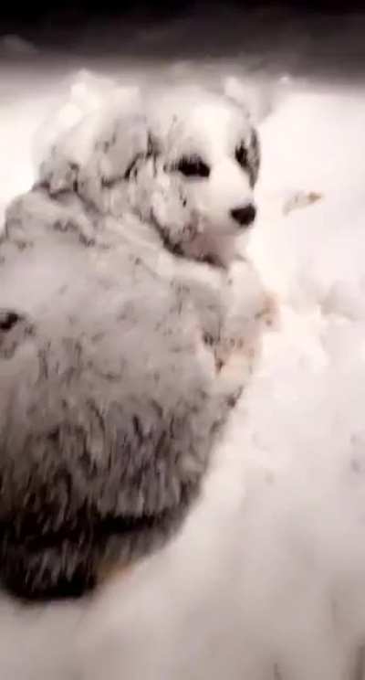 But it's really cold out there, Ollie