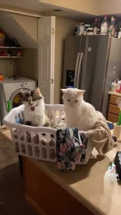Busted