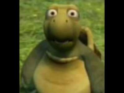 Como