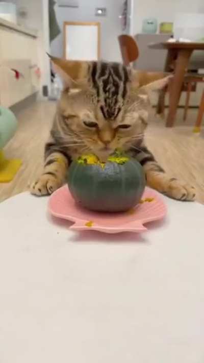 Тыковка