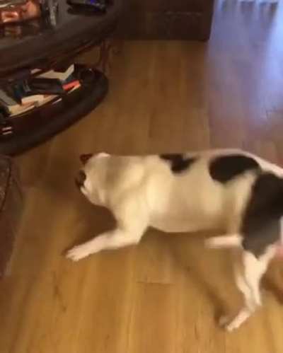He really loved his treat