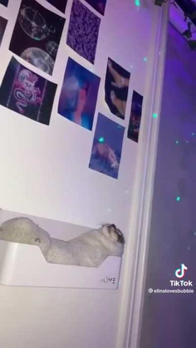 It looks so cozy